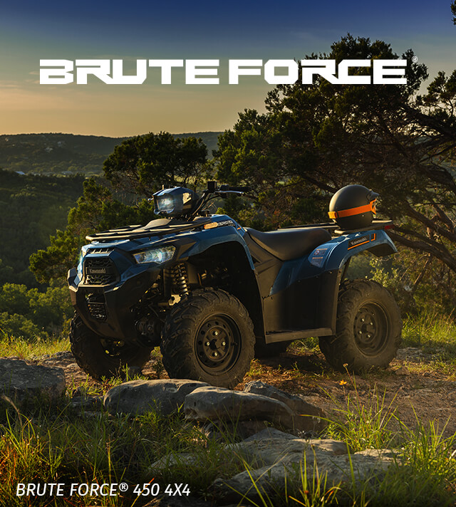 Brute Force FAMILY: SMALL IMAGE